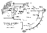 Biblioteca Las Am�ricas, Mercedes, TX, interactive floor plan